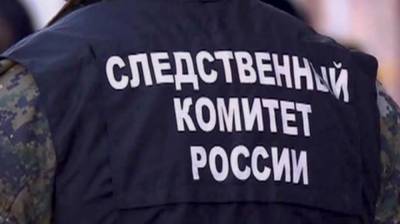 СК намерен привлечь к ответственности виновных в нападении собак на девочку в Коми - mur.tv - республика Коми