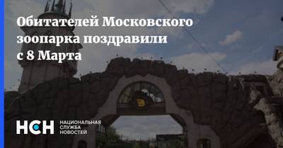 Обитателей Московского зоопарка поздравили с 8 Марта - mur.tv