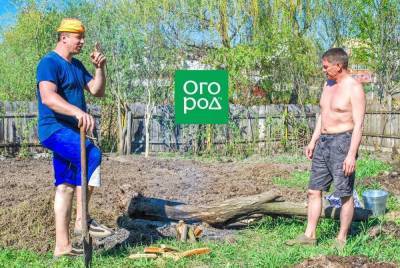 Как сделать плодородную землю из суглинка или глины: пошаговая инструкция - sadogorod.club