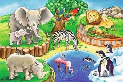 Ивановских детей приглашают нарисовать зоопарк - mur.tv