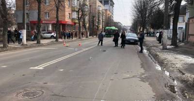 В Житомире полиция нашла водителя, который насмерть сбил женщину и ее собак на пешеходном переходе - mur.tv - Киев - Житомир