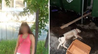 В Уфе нашли женщину, которая выкинула собаку с 10 этажа - mur.tv - республика Башкирия - Уфа