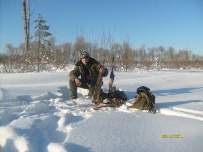 Прилузье и Троицк-Печорск закрыли официальный сезон охоты на волков внушительными цифрами - mur.tv - Печорск