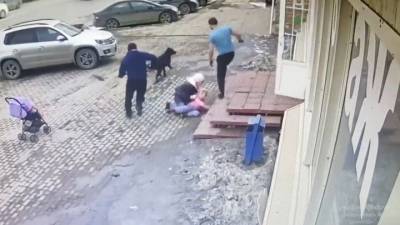 Видео из Сети. В Саратове бродячая собака напала на пятилетнюю девочку - mur.tv - Саратов