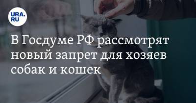 В Госдуме РФ рассмотрят новый запрет для хозяев собак и кошек - mur.tv - Россия - Санкт-Петербург
