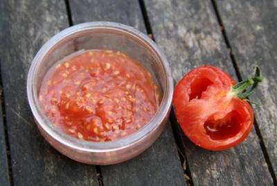 Увеличиваем урожай томатов в открытом грунте - sadogorod.club