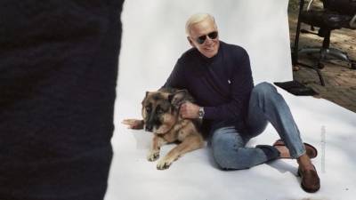 Джон Байден - Джилл Байден - Кусачая собака Байдена пройдет курс “управления гневом” - mur.tv - Сша - Вашингтон