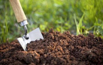 Как определить кислотность почвы в домашних условиях? Самый простой способ - lifehelper.one