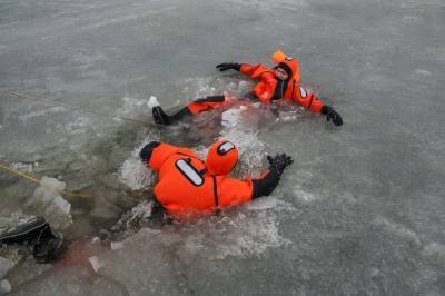 Спасатели пытаются вытащить провалившегося под лед мужчину с собакой - mur.tv - Москва