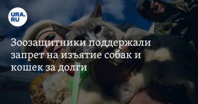Павел Крашенинников - Зоозащитники поддержали запрет на изъятие собак и кошек за долги - mur.tv - Россия