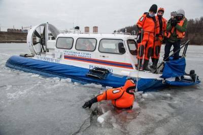 Провалившийся под лед мужчина с собакой погиб на северо-востоке Москвы - mur.tv - Москва