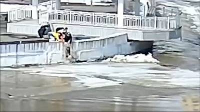 Челябинские подростки спасли собаку, оказавшуюся на льдине - mur.tv - Челябинская обл.