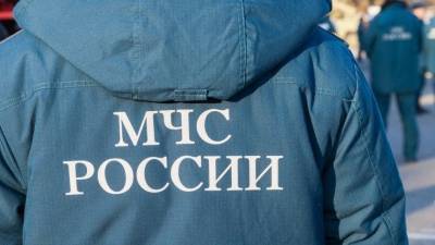 В Москве мужчина утонул на глазах у прохожих при попытке спасти собаку - mur.tv - Москва