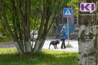 Кинолог из Сыктывкара высказался за самые жесткие меры в отношении нерадивых владельцев собак - mur.tv - республика Коми - Сыктывкар