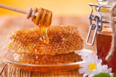 Мёд в сотах — польза и вред, а также лечение от 15 недугов - lifehelper.one