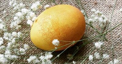 Красим яйца в ярко-желтый цвет с помощью куркумы - segodnya.ua