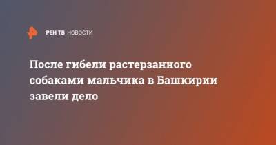 После гибели растерзанного собаками мальчика в Башкирии завели дело - mur.tv - Россия - республика Башкирия - с. Сафарово