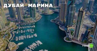 Дубай Марина — самая большая в мире искусственная пристань для яхт - porosenka.net