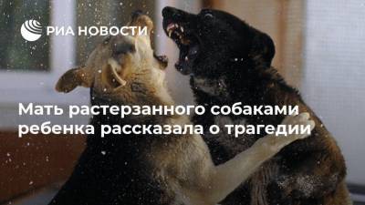 Мать растерзанного собаками ребенка рассказала о трагедии - mur.tv - Москва - республика Башкирия - район Учалинский - деревня Сафарово, район Учалинский