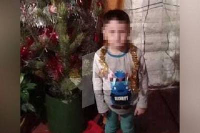 Погибший от укусов собак 4-летний малыш из Башкирии не дожил 10 дней до своего юбилея - mur.tv - республика Башкирия - район Учалинский