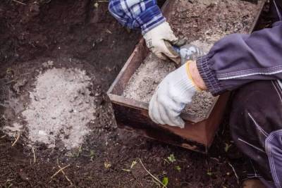Как раскислить почву на участке – полезные советы для садоводов и огородников - sadogorod.club