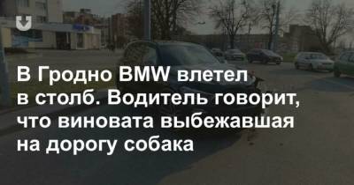 В Гродно BMW влетел в столб. Водитель говорит, что виновата выбежавшая на дорогу собака - mur.tv