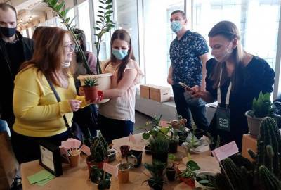 Зелёный обмен: в Екатеринбурге прошёл первый фестиваль комнатных растений - sadogorod.club - Екатеринбург