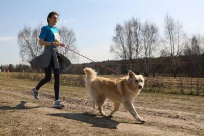 В Битцевском парке прошел необычный забег с собаками - mur.tv