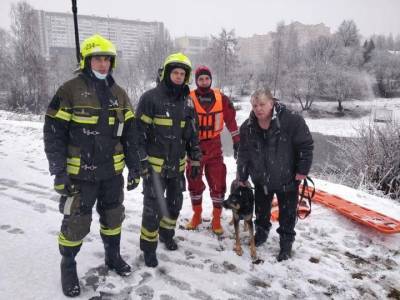 Провалившуюся под лед собаку спасли в ЗелАО - mur.tv - Москва