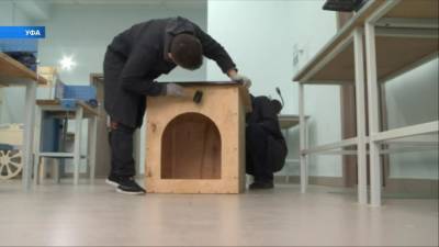 В Башкирии волонтеры изготавливают будки для брошенных собак - mur.tv - республика Башкирия