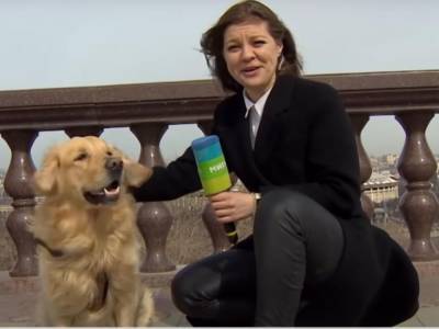 Собака вырвала микрофон из рук журналистки российского телеканала “Мир 24”. Видео - mur.tv - Россия - Москва