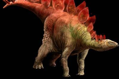 Ученые нашли следы мелкого динозавра размером с кошку - mur.tv