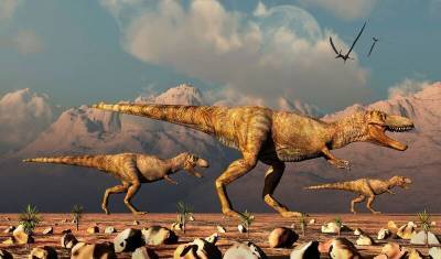 Палеонтологи: тираннозавры охотились стаями, как волки - mur.tv - штат Юта - штат Арканзас