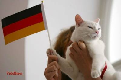 Домашние животные в Германии дорогое, но удовольствие! - mur.tv - Германия