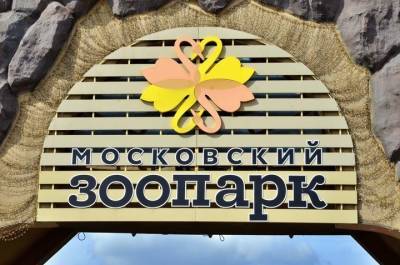 Строительство Детского зоопарка завершили в Пресненском районе - mur.tv - Москва