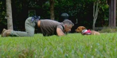 Они нашлись: трехлапый пес и ветеран-инвалид - mur.tv