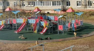 Семь собак захватили новую детскую площадку: “Лают и не впускают” - mur.tv