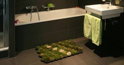 Зачем нужен живой коврик для ванны из мха, плюсы и минусы изделия - lifehelper.one - Швейцария
