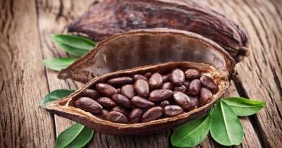​Почему какао полезно особенно тем, кому за 40 - lifehelper.one