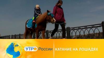 Утро России. Катание на лошадях - mur.tv - Россия