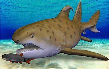 Ученые дали название похожей на дракона акуле возрастом 300 миллионов лет - mur.tv