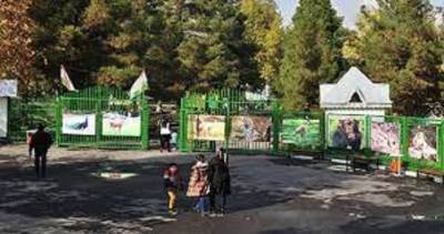 Частникам разрешено строить зоопарк в Душанбе - mur.tv - Душанбе