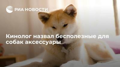Владимир Голубев - Кинолог назвал бесполезные для собак аксессуары - mur.tv - Россия - Москва