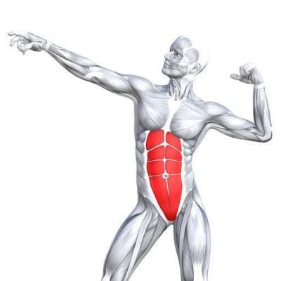5 упражнений для проработки мышц пресса - lifehelper.one
