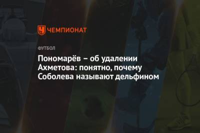 Пономарёв об удалении Ахметова: понятно, почему Соболева называют дельфином - mur.tv