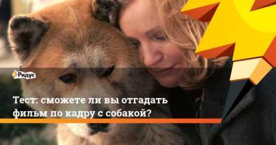 Тест: сможете ли вы отгадать фильм по кадру с собакой? - mur.tv