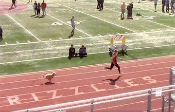 Видеохит: Собака выбежала на стадион во время соревнований и победила фаворитку - mur.tv