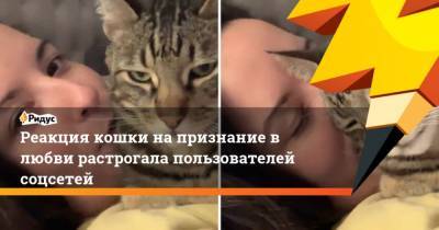Реакция кошки на признание в любви растрогала пользователей соцсетей - mur.tv