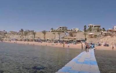На пляже Египта отдыхающие заметили акулу - mur.tv - Австралия - Египет