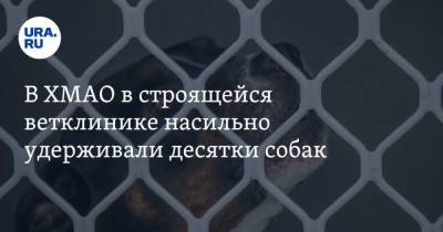 В ХМАО в строящейся ветклинике насильно удерживали десятки собак. Одна из них умерла - mur.tv - округ Югра - Нижневартовск